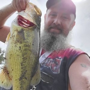 Meet your Posher, Joey